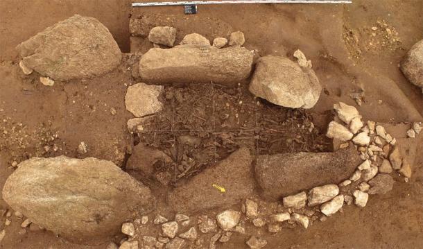 Remains found at an excavation site used in the study, which has revealed clues to the Yamnaya Culture’s migration to Europe.    (Marianne Ramstein / Archäologischer Dienst des Kanton Bern)